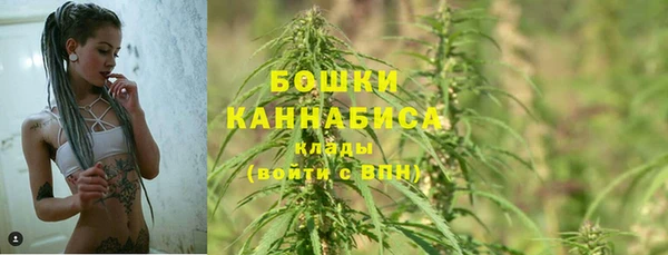 гашик Аркадак