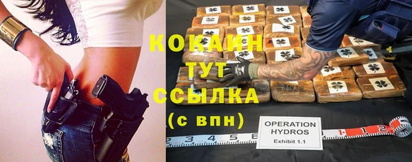 гашик Аркадак