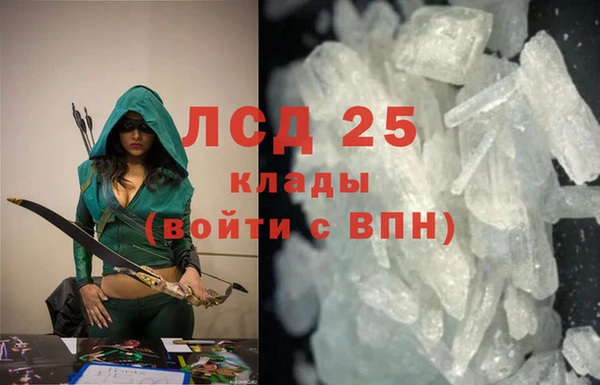 гашик Аркадак